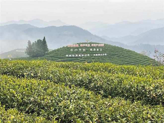 用上新科技,秦岭"绿富美"